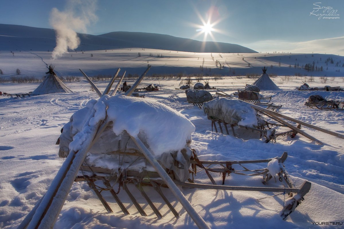 Полярная тундра Ямал