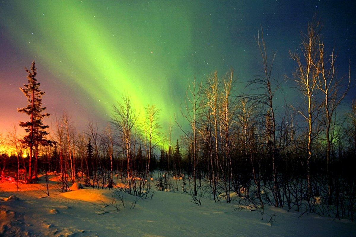 Ямал тундра ненцы