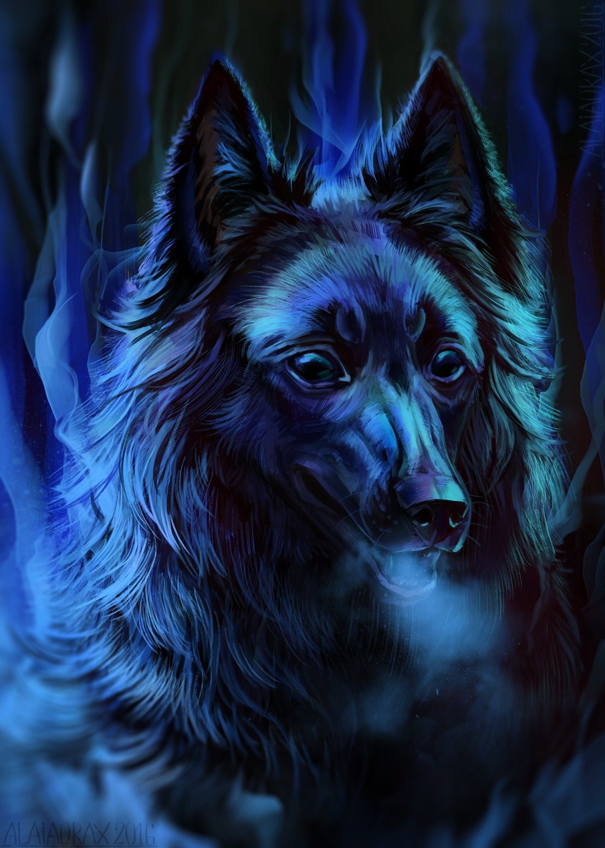 Красивые синие волки