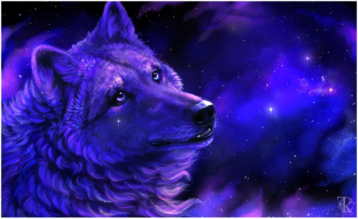 Серая волчица с голубыми глазами