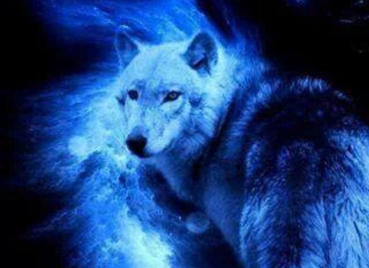 Аватарки волки синий ЭПИЧНЫЕ другом