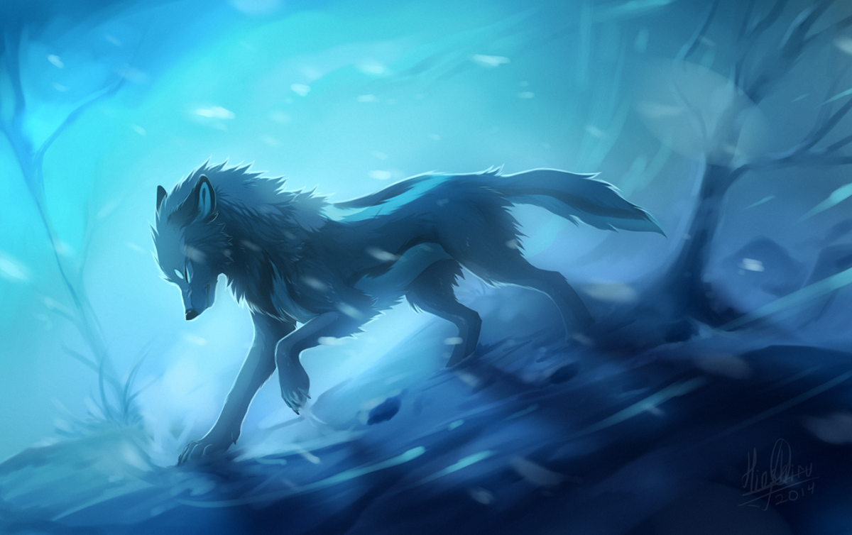 Звездный волк