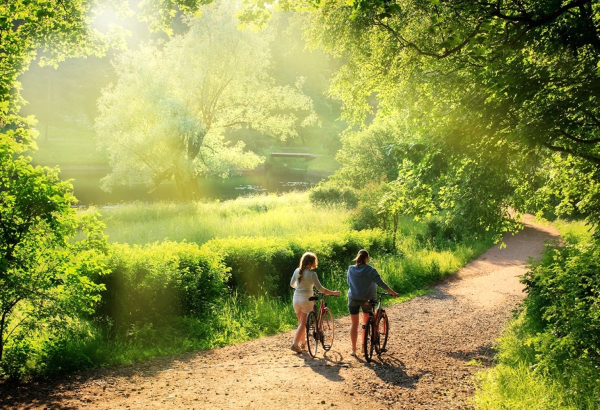 Прогулка на природе