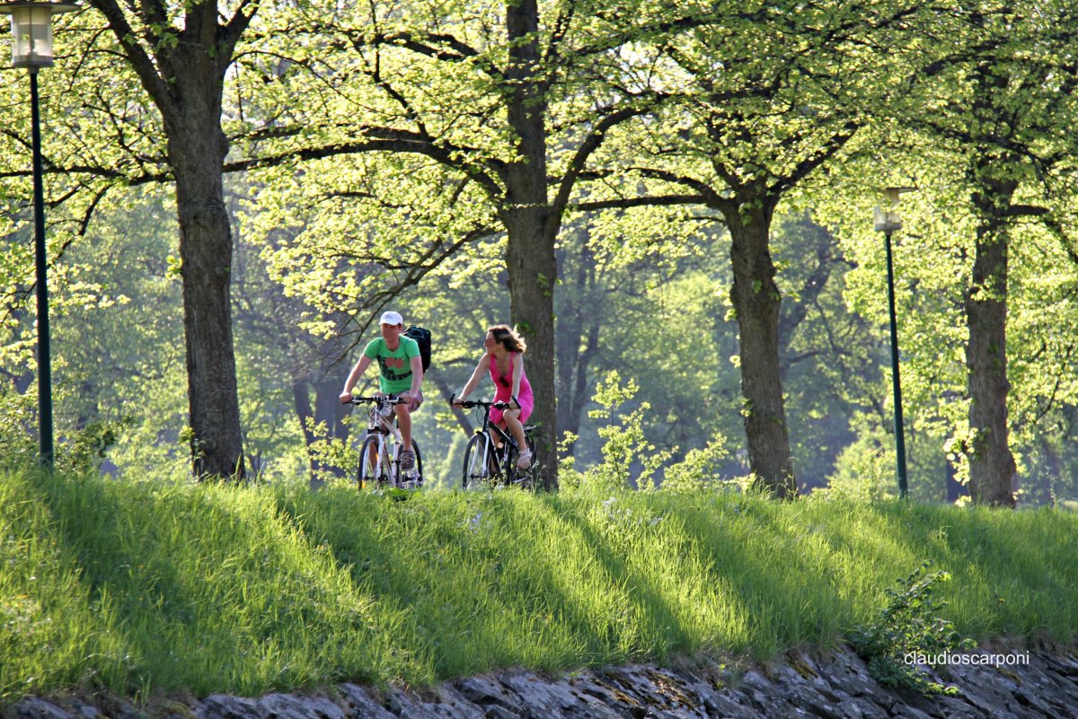 Велосипедные прогулки в лесу