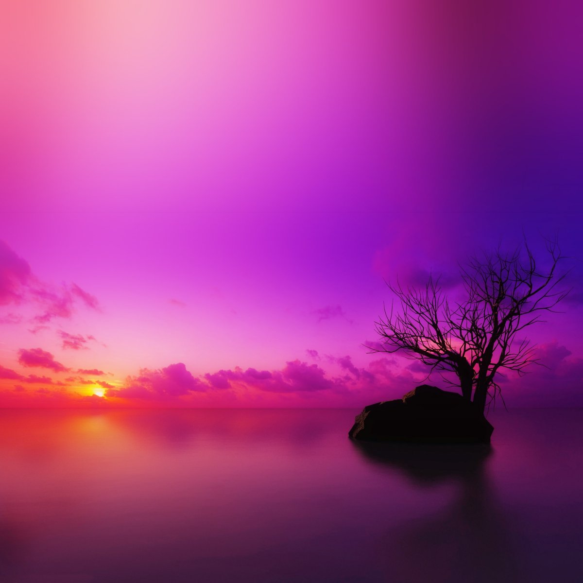 Закат фиолетовый оранжевый