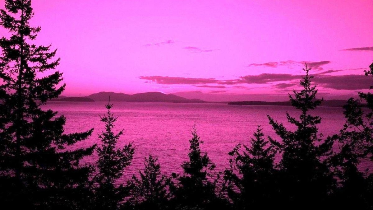 Яркий розовый закат