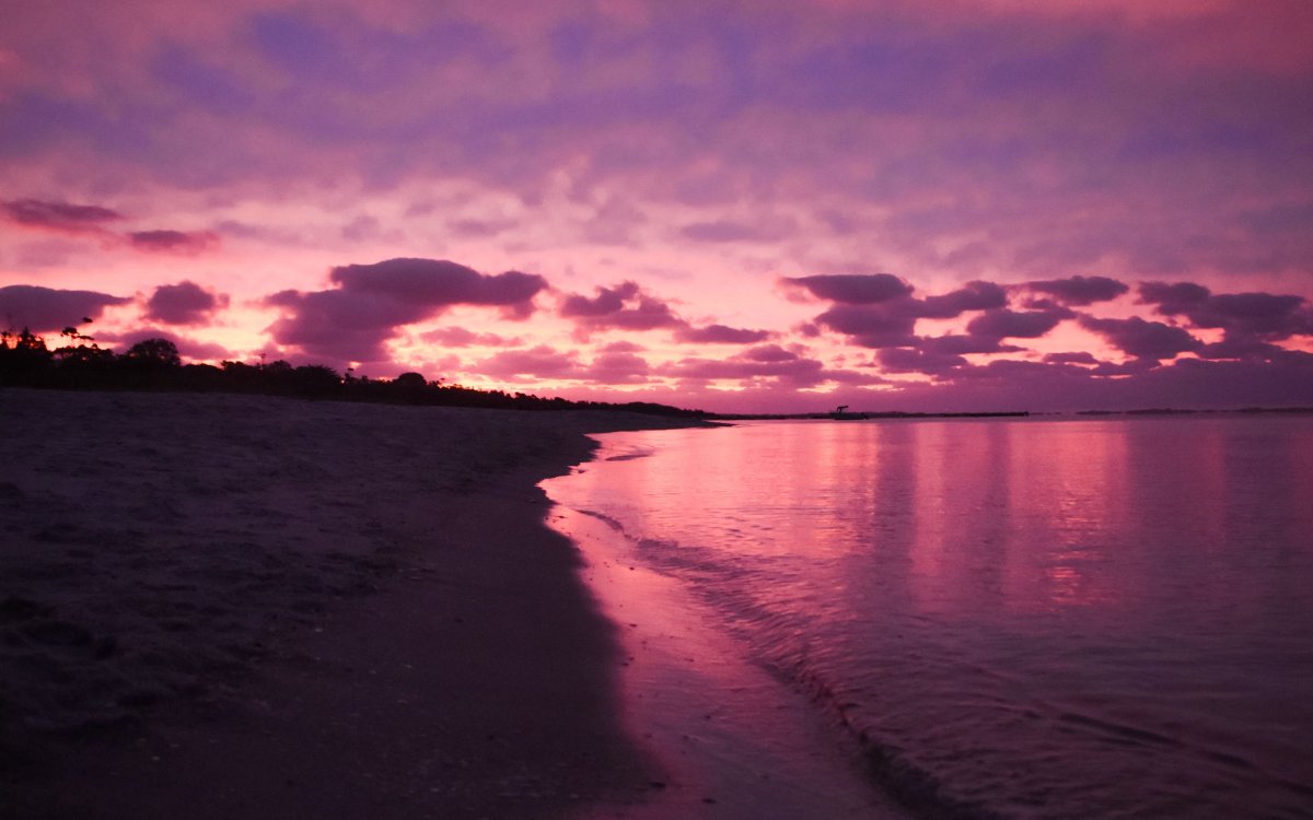 Фиолетовый закат