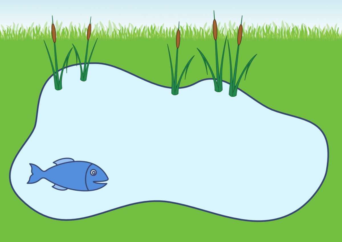 Озеро рисунок