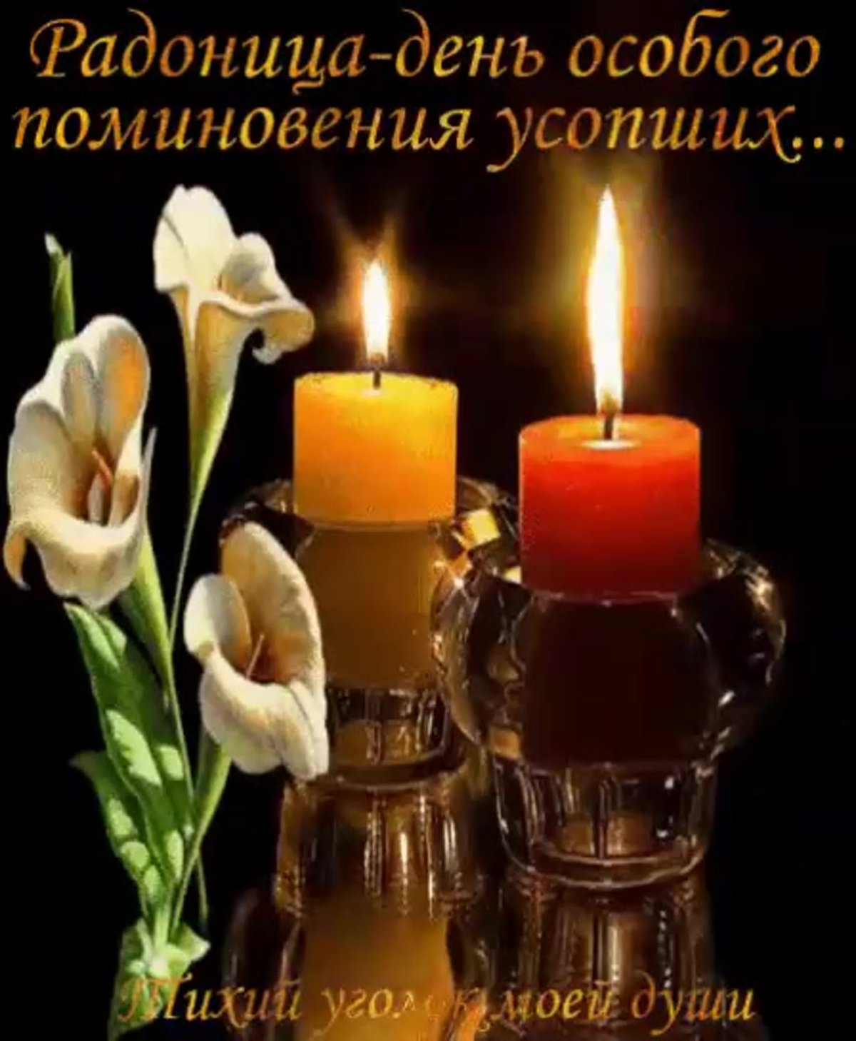 Свеча и гвоздики