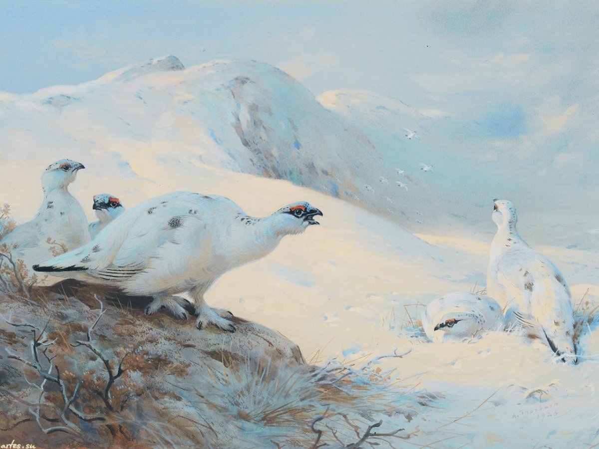 Арчибальд Торберн картины