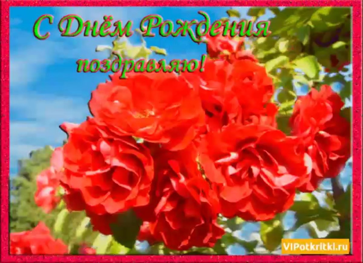 С днем рождения Тамара анимация