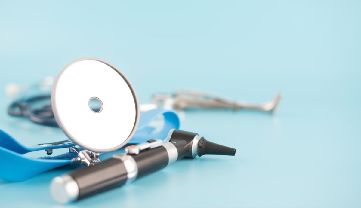 Строение ухо горло нос человека