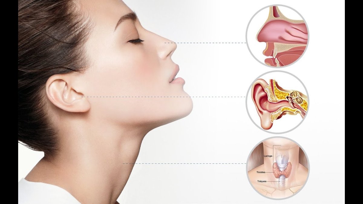 Ухо горло нос лого