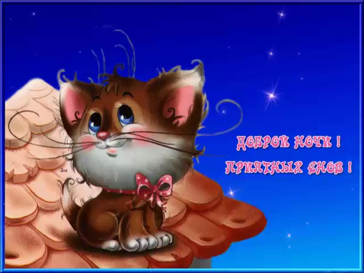 С утрой синий кот
