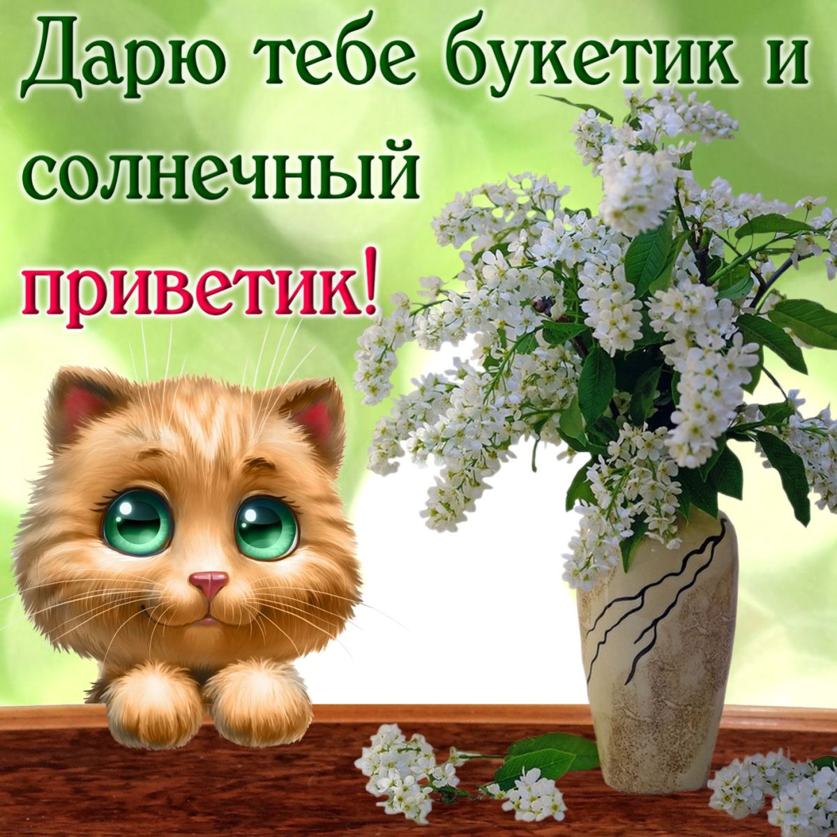 Приветик котик