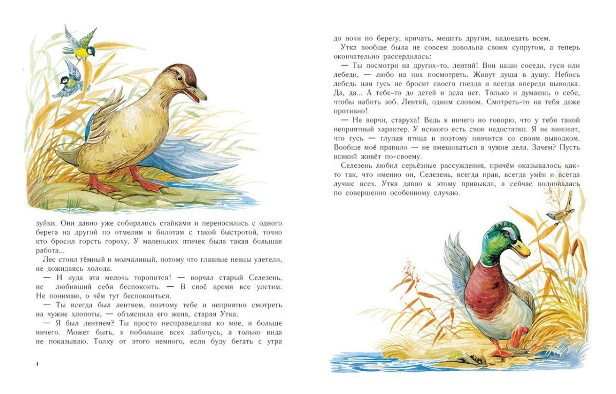 Раскраска утята на пруду