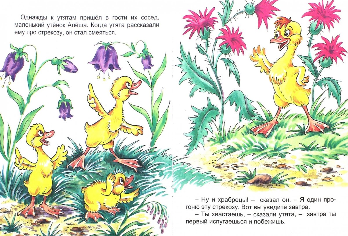 Пришвин ребята и утята книга