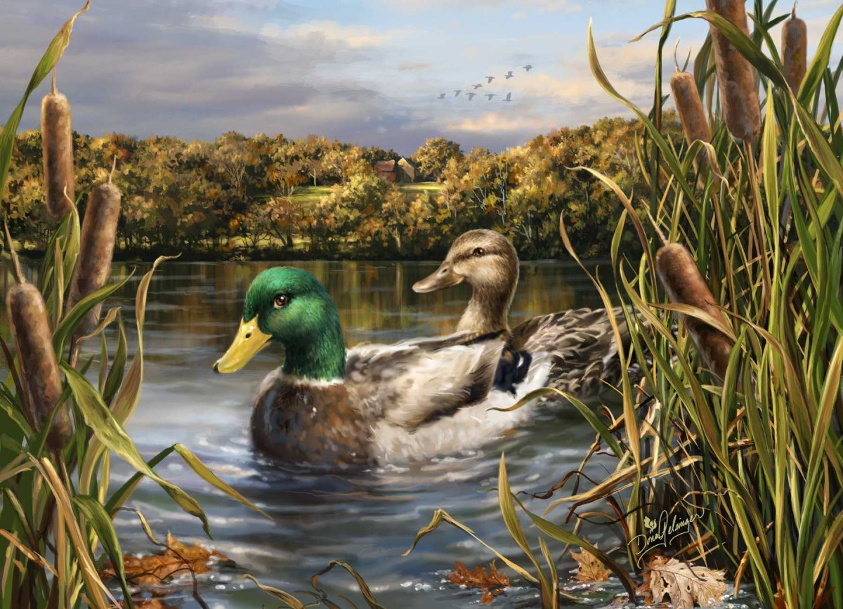 Роберт Бейтман. Утки . Картины