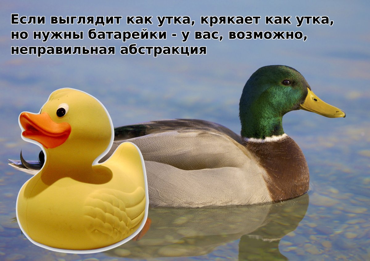 Рассказ по картинке с вопросами