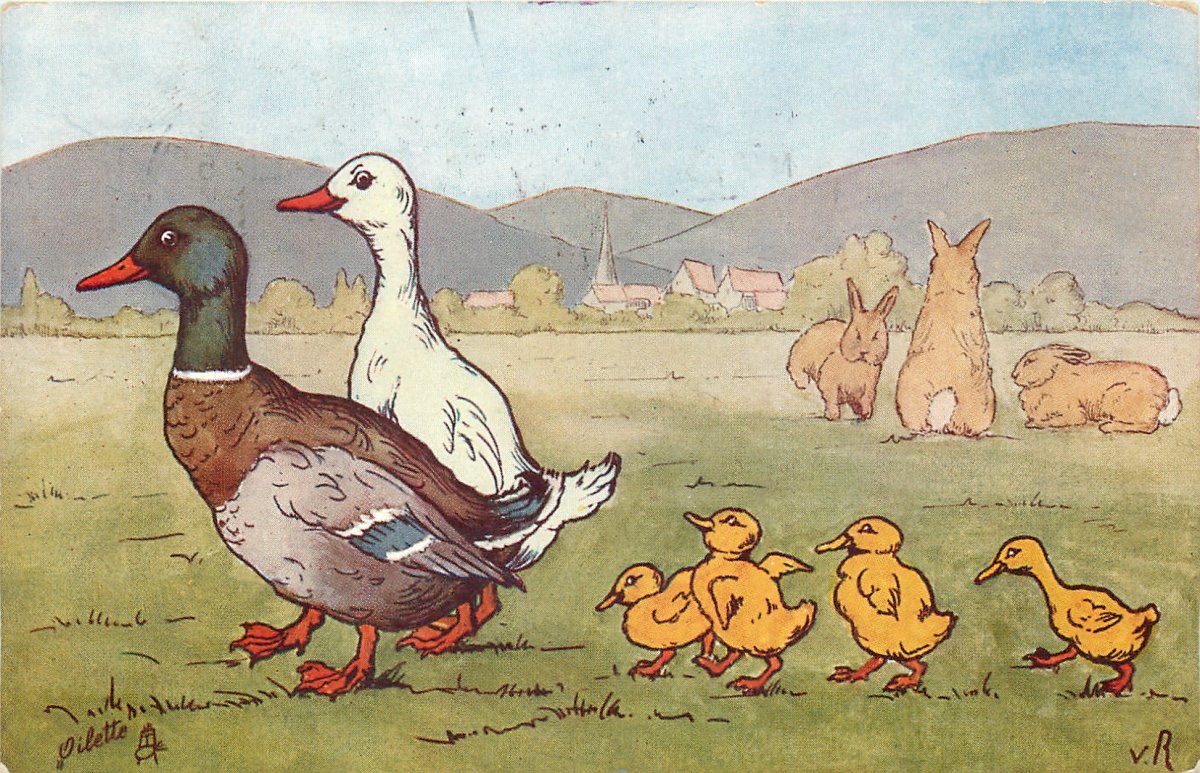 Утка кряква перелётная птица