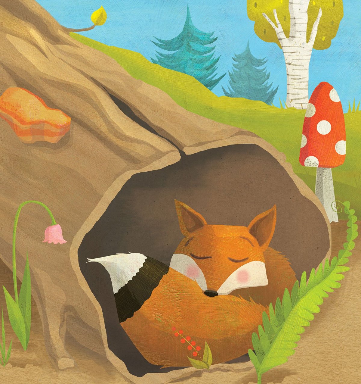 Нора лисы Лисья Нора