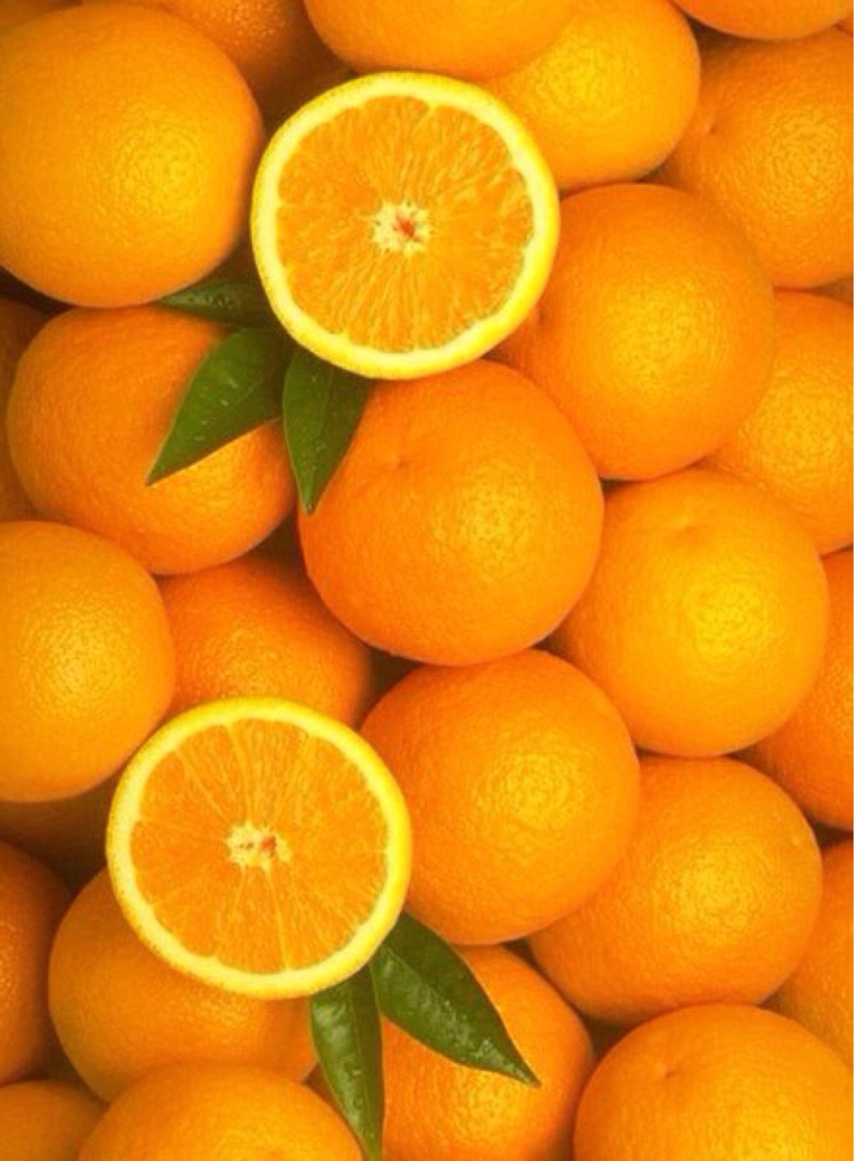 Отряд апельсин