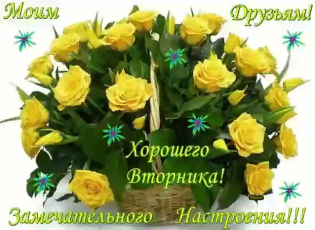 Поздравления со вторником