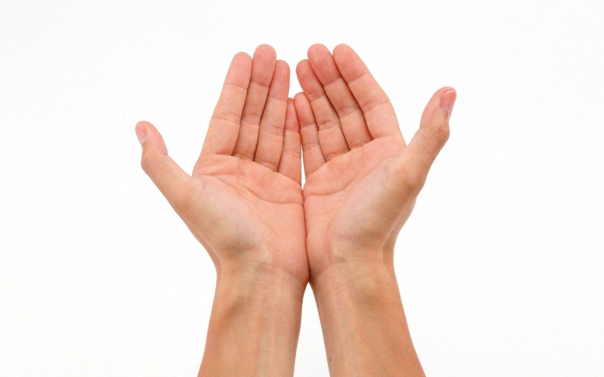 Раскрытые ладони