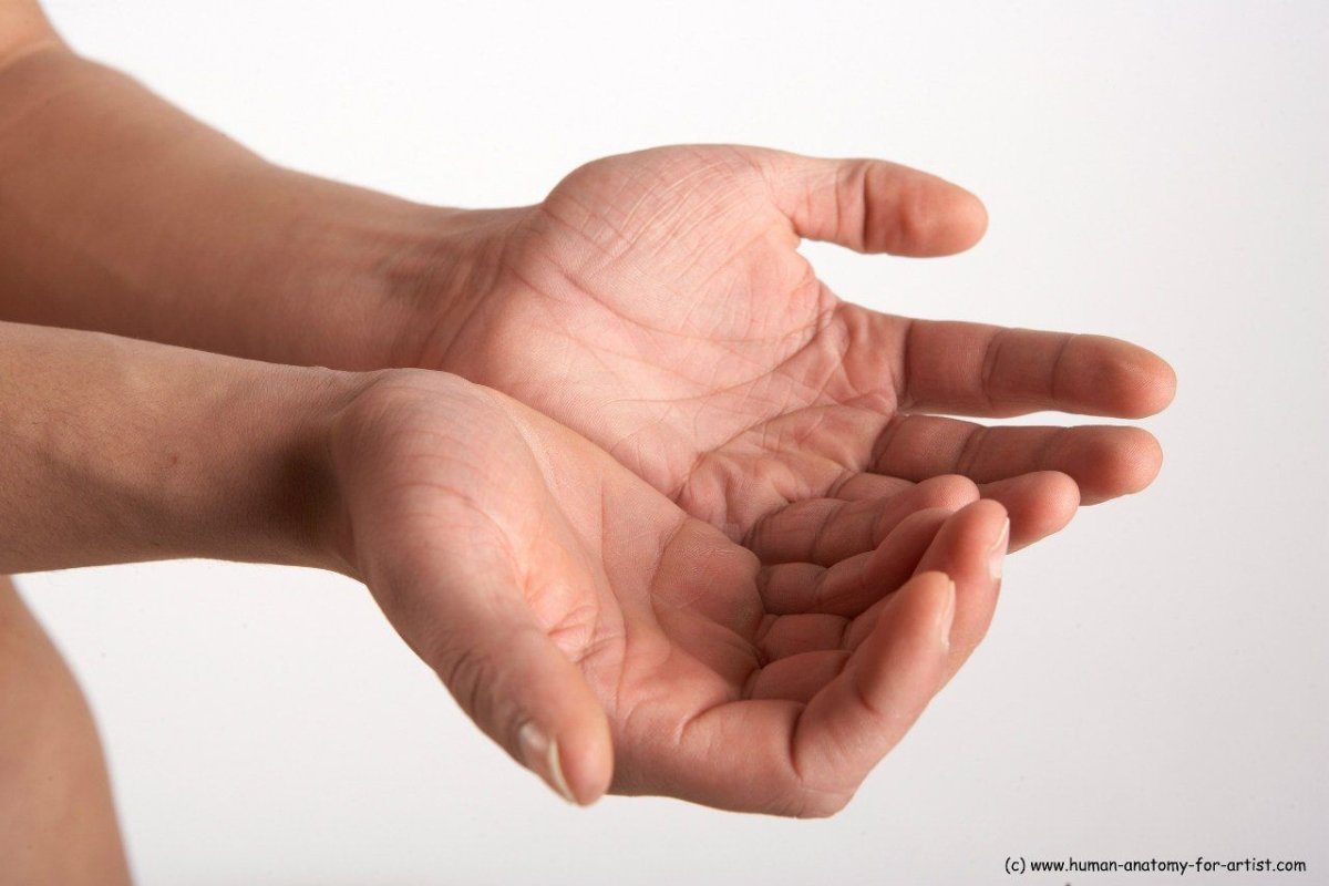 Рука ладонь