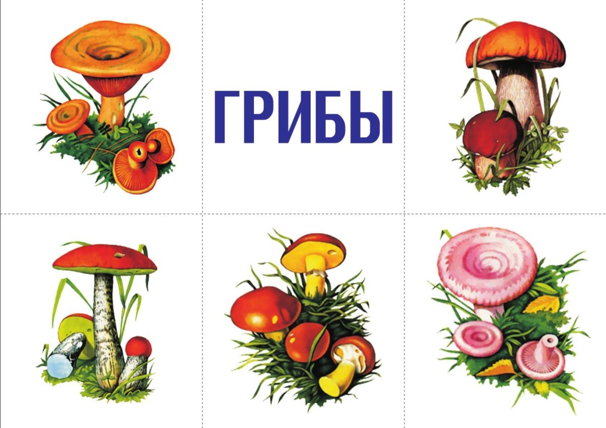 Лото "времена года" 5395808