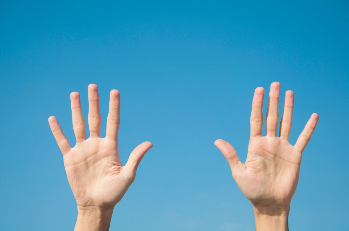 Ладонь человека