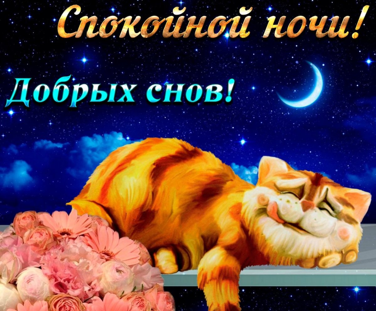 Спокойной ночи приятных снов
