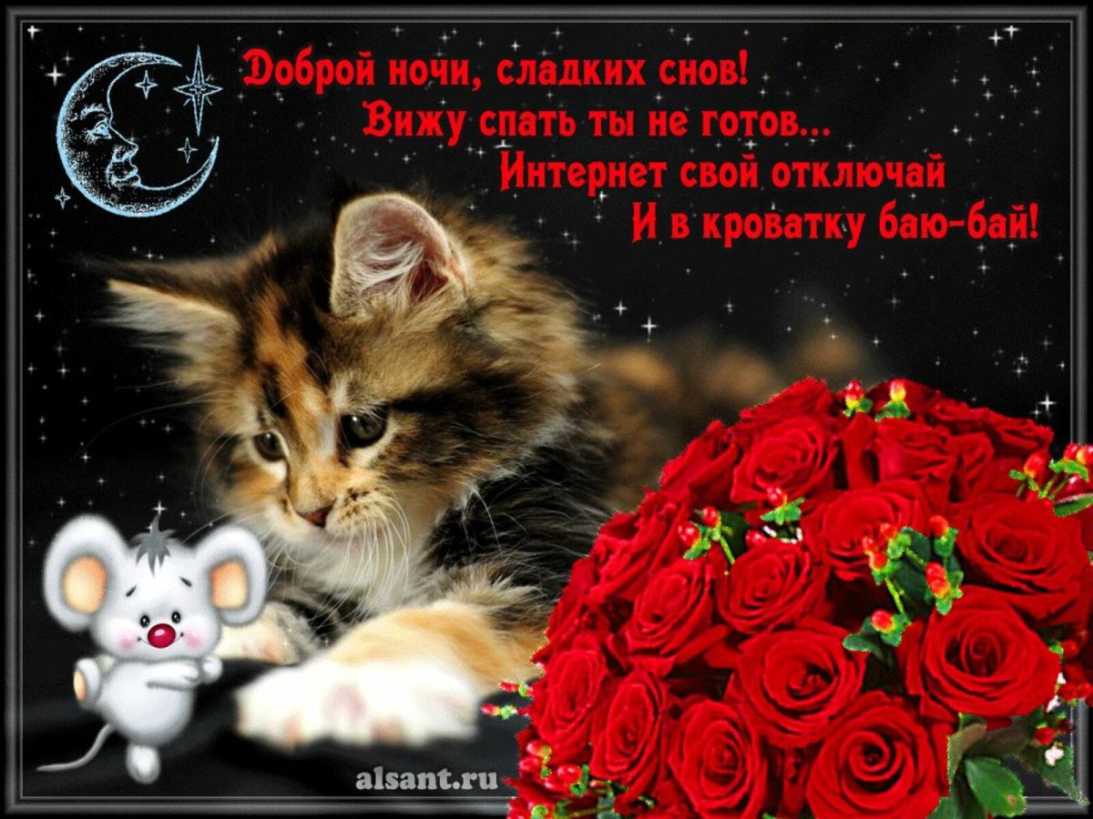 Пожелание спокойноночи