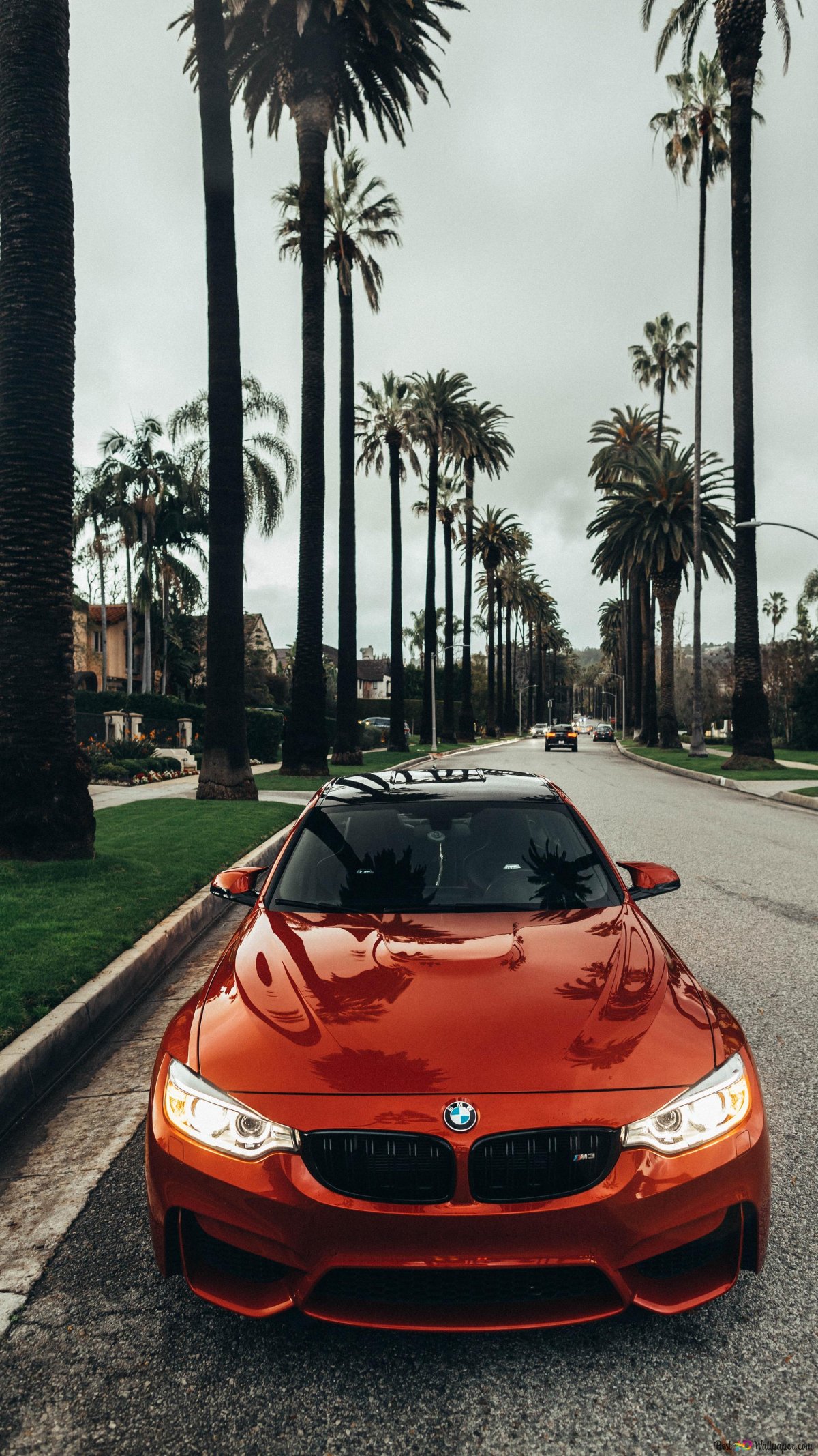 Х7 БМВ красная на побережье