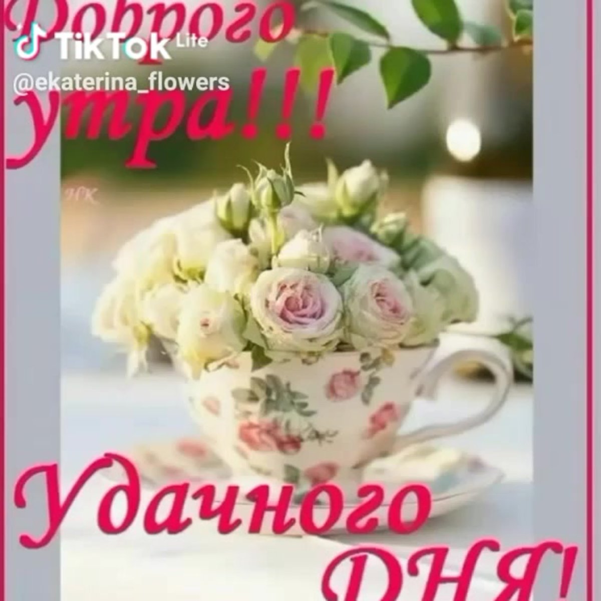 Открытка доброе утро удачного дня