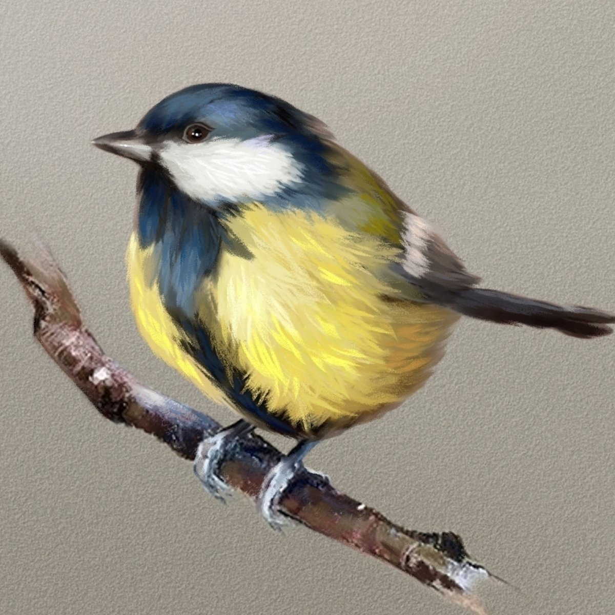 Синичка арт