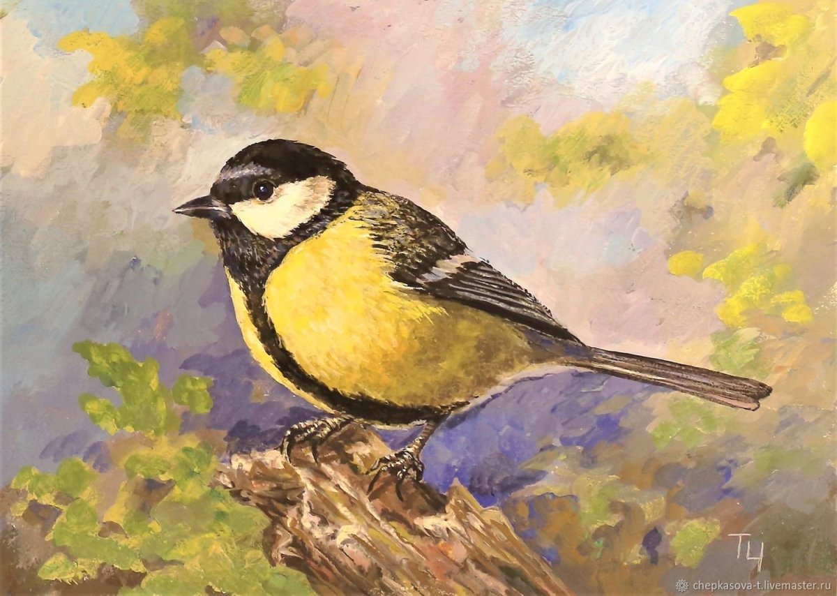 Синица рисунок