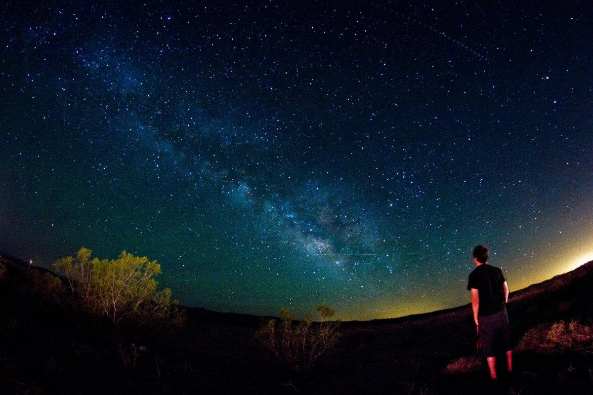 Ночь звезды