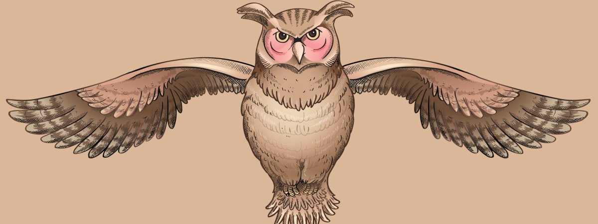 Крылья Совы на прозрачном фоне
