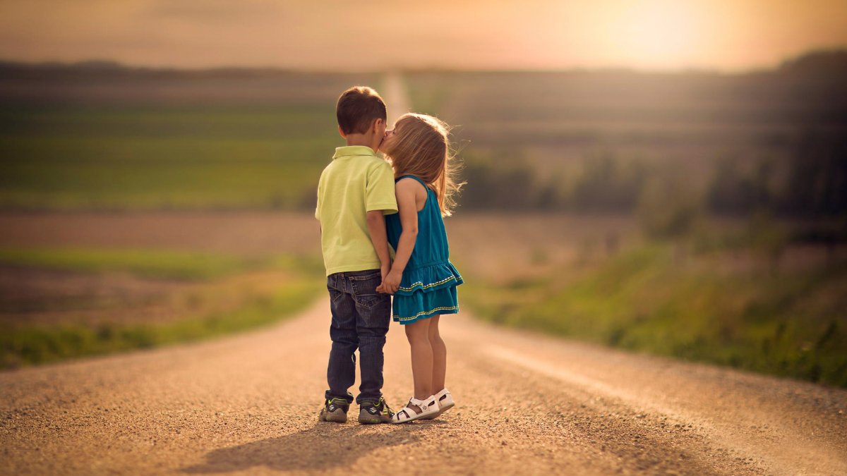 Дональд Золан картины лужи