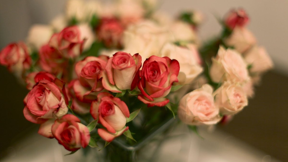 Красивые маленькие розы