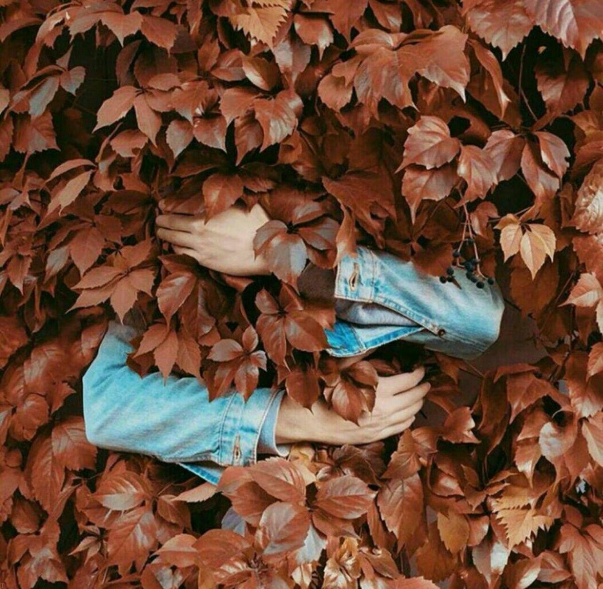 Осень в Санкт-Петербурге