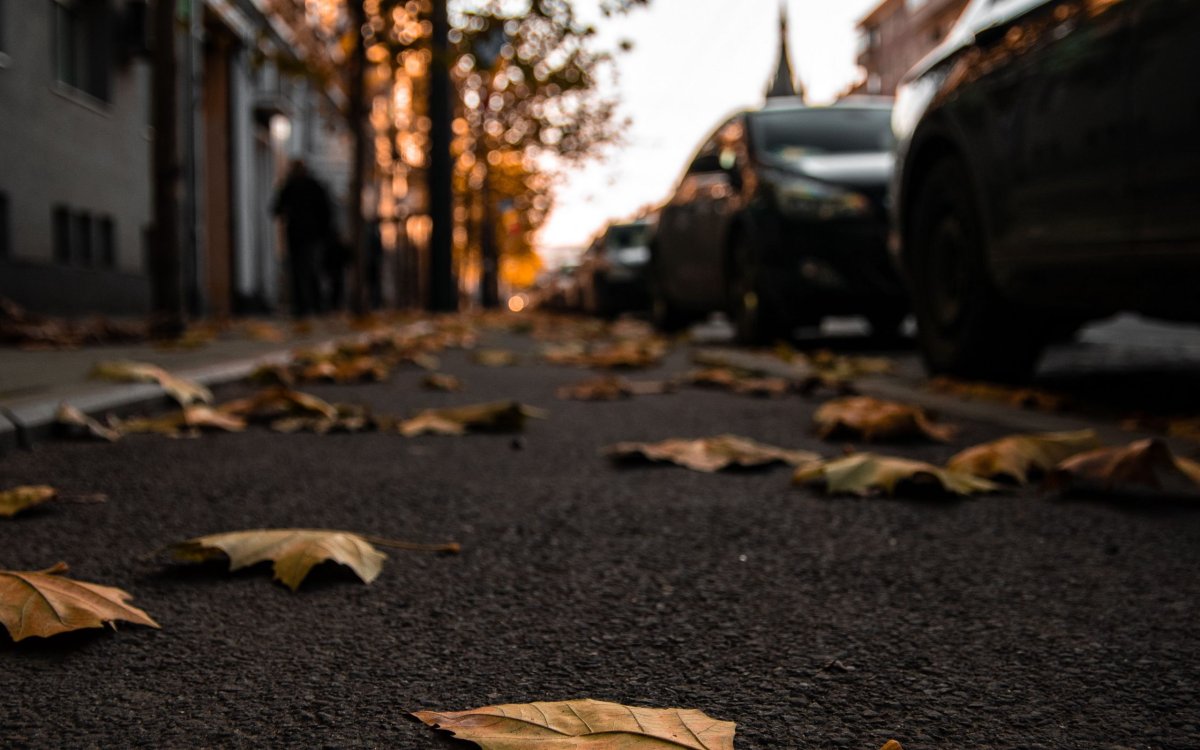 Золотая осень в Калининграде