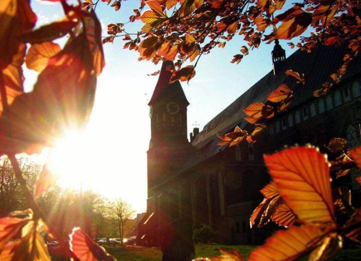 Коллаж осенний Петербург