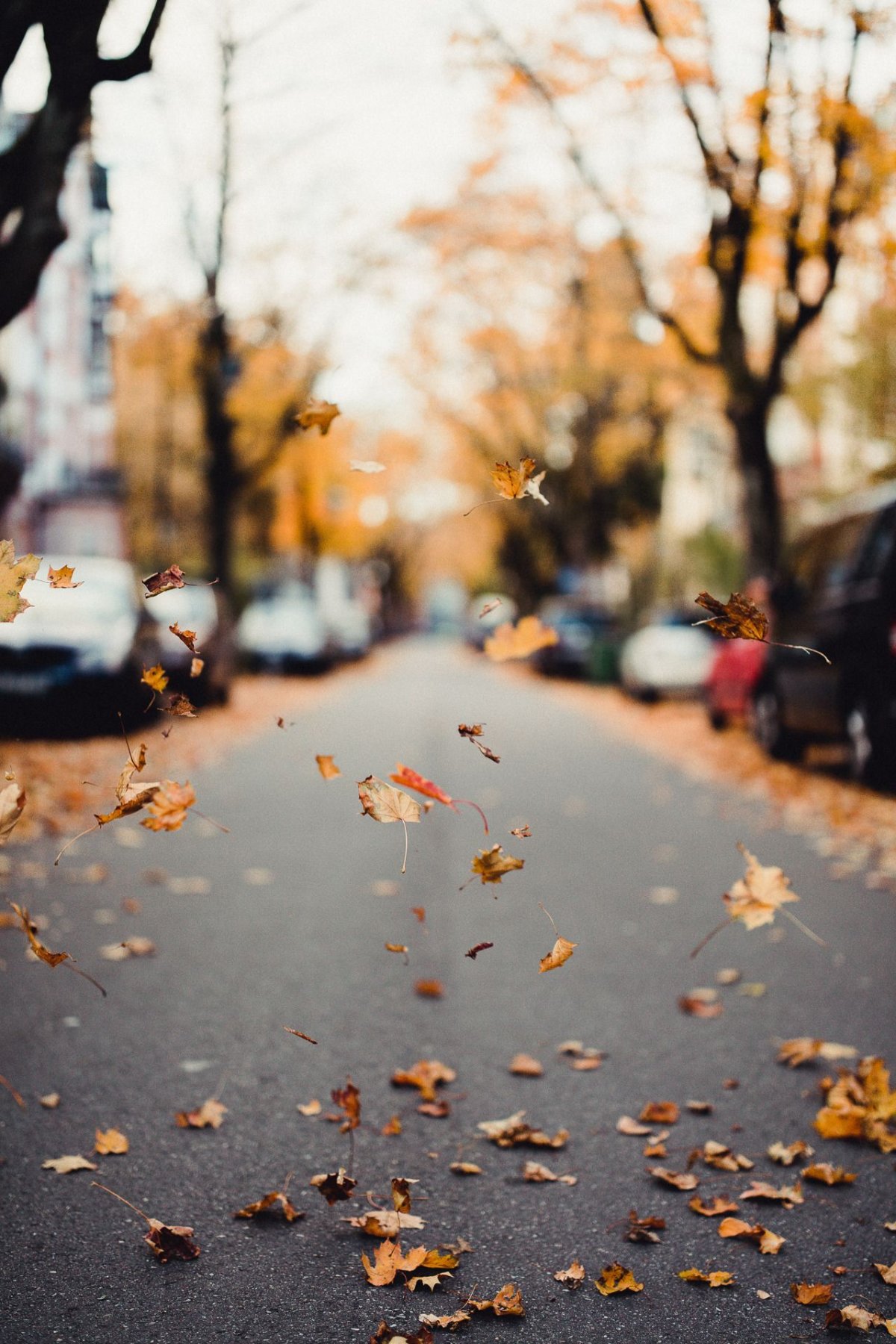 Осенний Нью-Йорк Эстетика