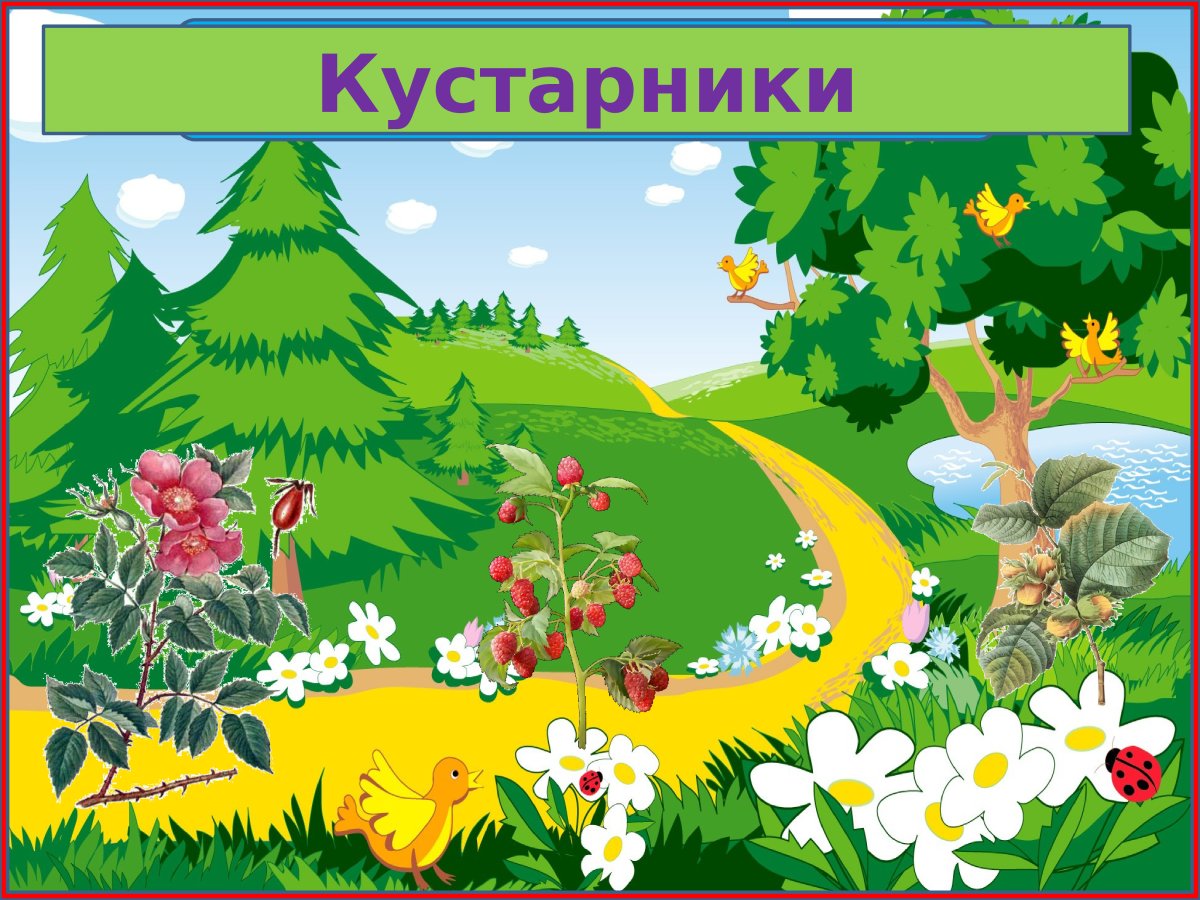 Урок окружающий мир 3 класс