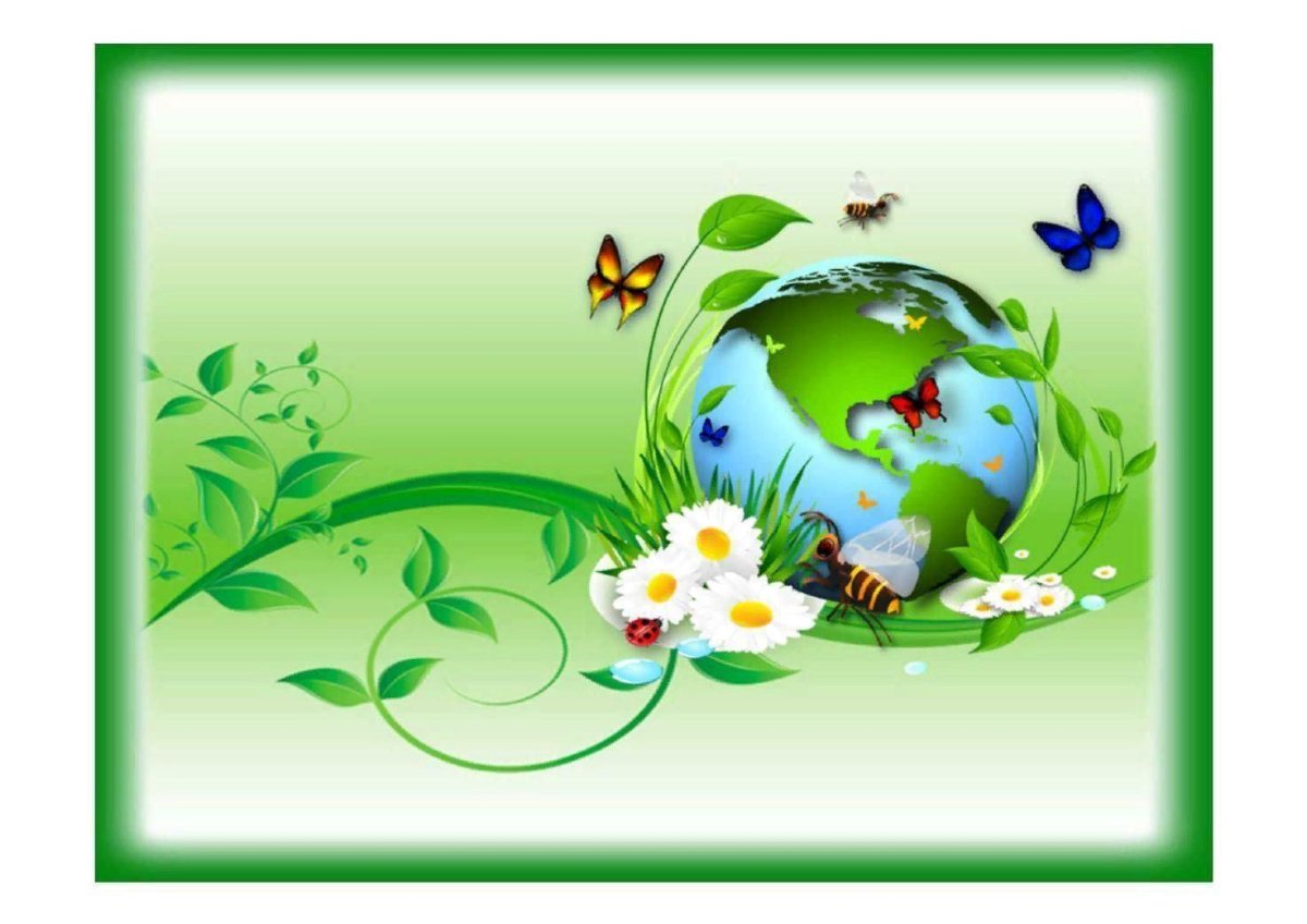 Мир природы в ДОУ