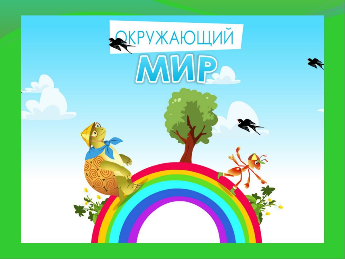 Окружающий мир