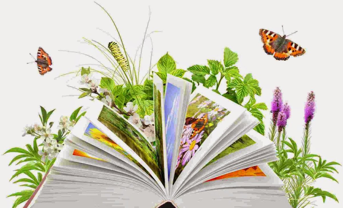 День экологических знаний