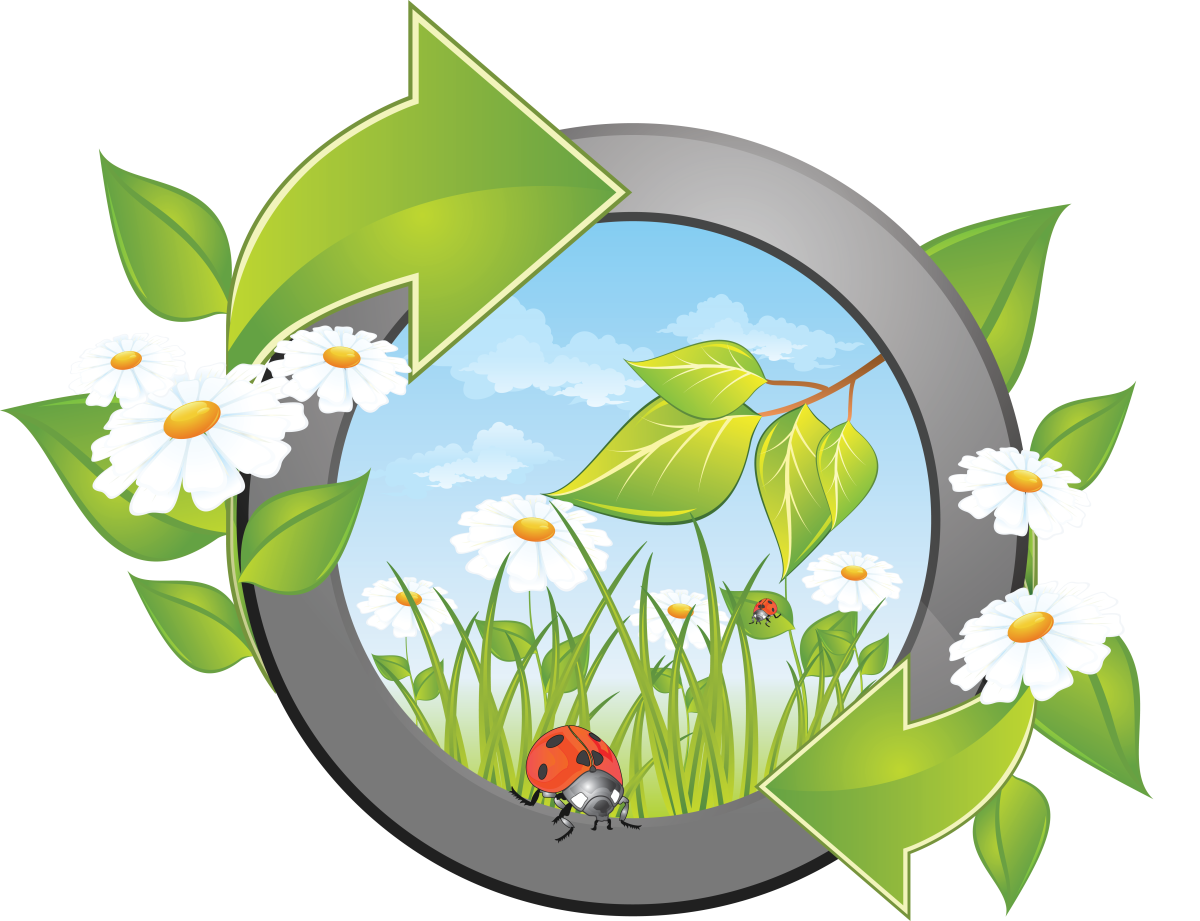 Экологическое воспитание значки